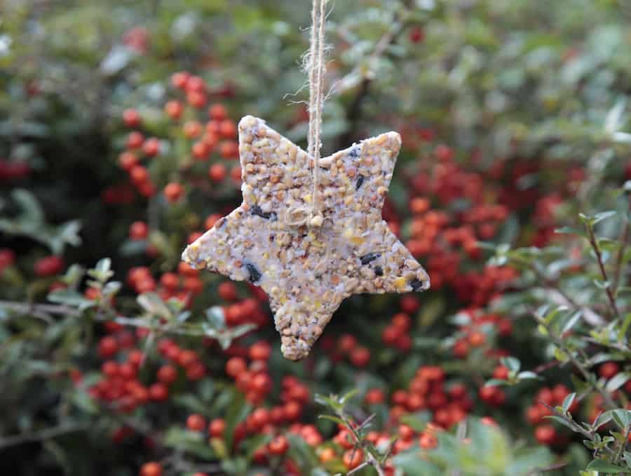 Yummy glitter-free ‘Reindeer Food’ recipes provided by the RSPB for the International Elf Service