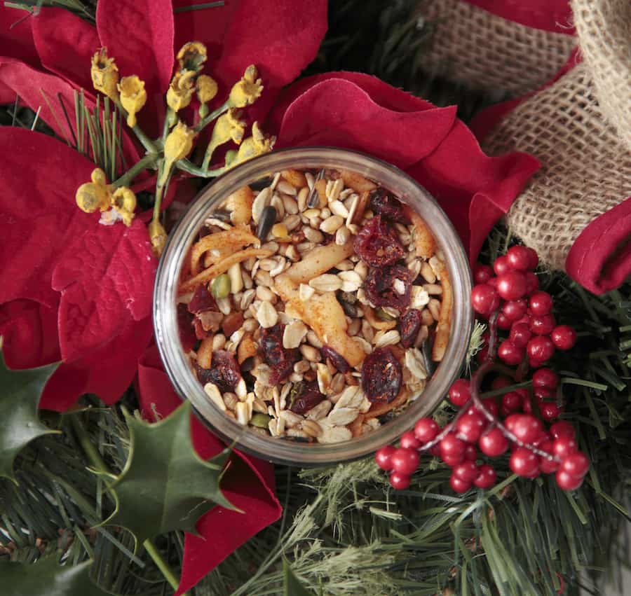 Yummy glitter-free Reindeer Food recipes provided by the RSPB for the International Elf Service