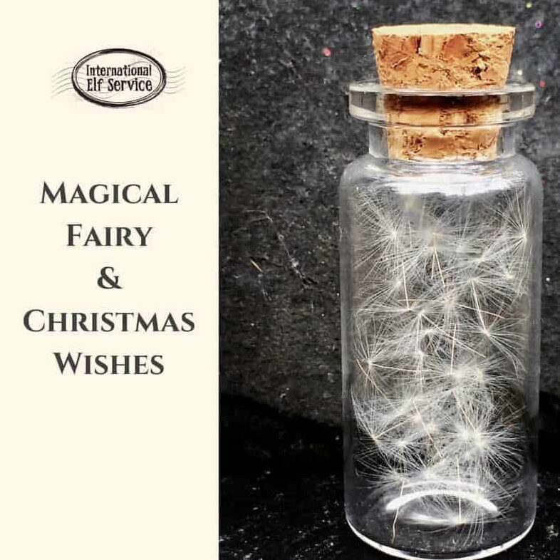 Magical DIY Fairy & Christmas Wishes