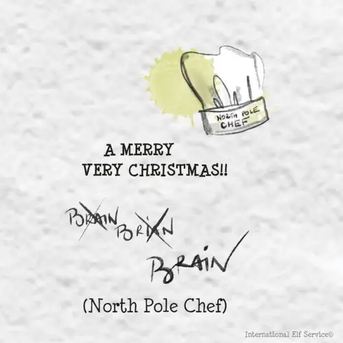 Brian is the Trainee North Pole Chef and loveable Christmas Elf at International Elf Service