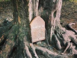 Guidelines When Making A Woodland Fairy Door Guidelines When Making A Woodland Fairy Door