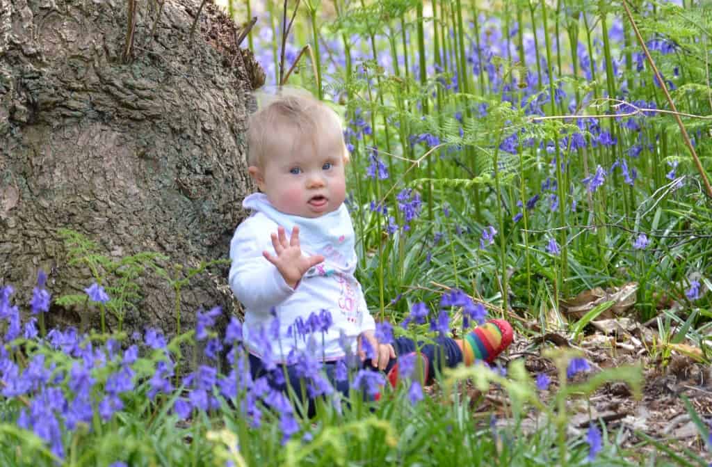 How to make a woodland fairy door - official planning guidelines by the International Elf Service