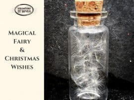Magical DIY Fairy & Christmas Wishes Magical DIY Fairy & Christmas Wishes