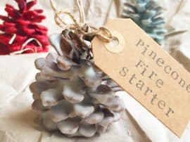Handmade Christmas: Pinecone Fire Starters Handmade Christmas: Pinecone Fire Starters
