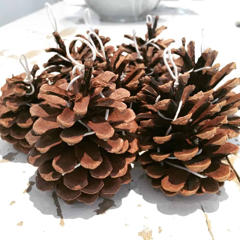 Pinecone Fire Starters are a wonderful homemade Christmas Gift. Gorgeous as Christmas Decorations too. Photos by the International Elf Service