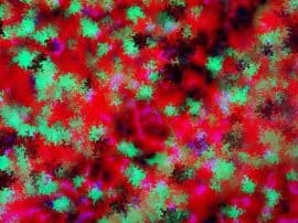 How Bacteria Affect Our Health – Guest Post How Bacteria Affect Our Health – Guest Post