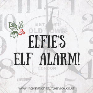 Don't get caught out again. Elfie's Elf Alarm will email you at 9pm GMT each night from the 31st October to the 30th November. Never forget to sort out your Elf Magic again! By the International Elf Service