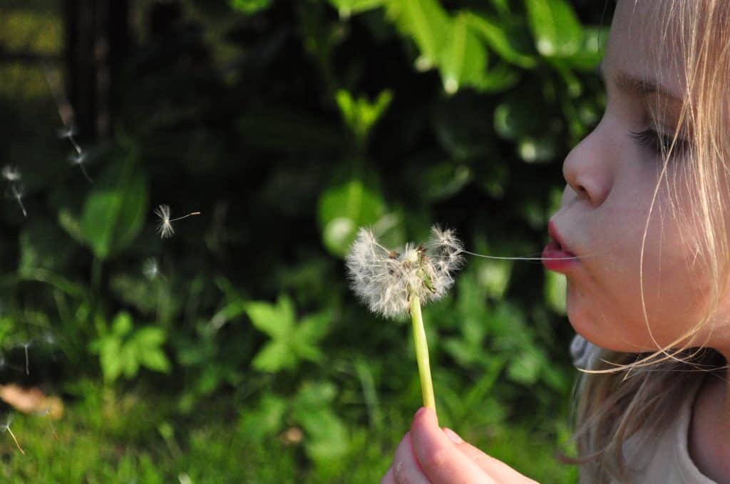 How to make beautiful magical wishes for your child to have as a keepsake. They can be fairy wishes, Christmas wishes, or a bottle full of happiness and love wishes.... the simple things are often the most precious!