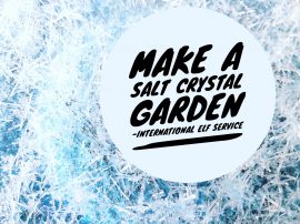 How To Make A Salt Crystal Garden! How To Make A Salt Crystal Garden!