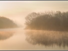 Panic Attacks: How Cognitive Behavioural Therapy (CBT) Helped Me Panic Attacks: How Cognitive Behavioural Therapy (CBT) Helped Me