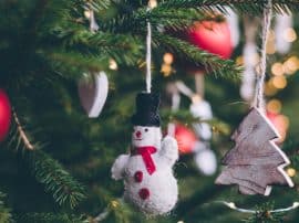 Pines & Needles Christmas Trees – A Review Pines & Needles Christmas Trees – A Review